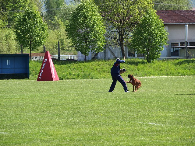 www.atibox.net * www.euroboxer.eu * www.boxergenealogia.eu